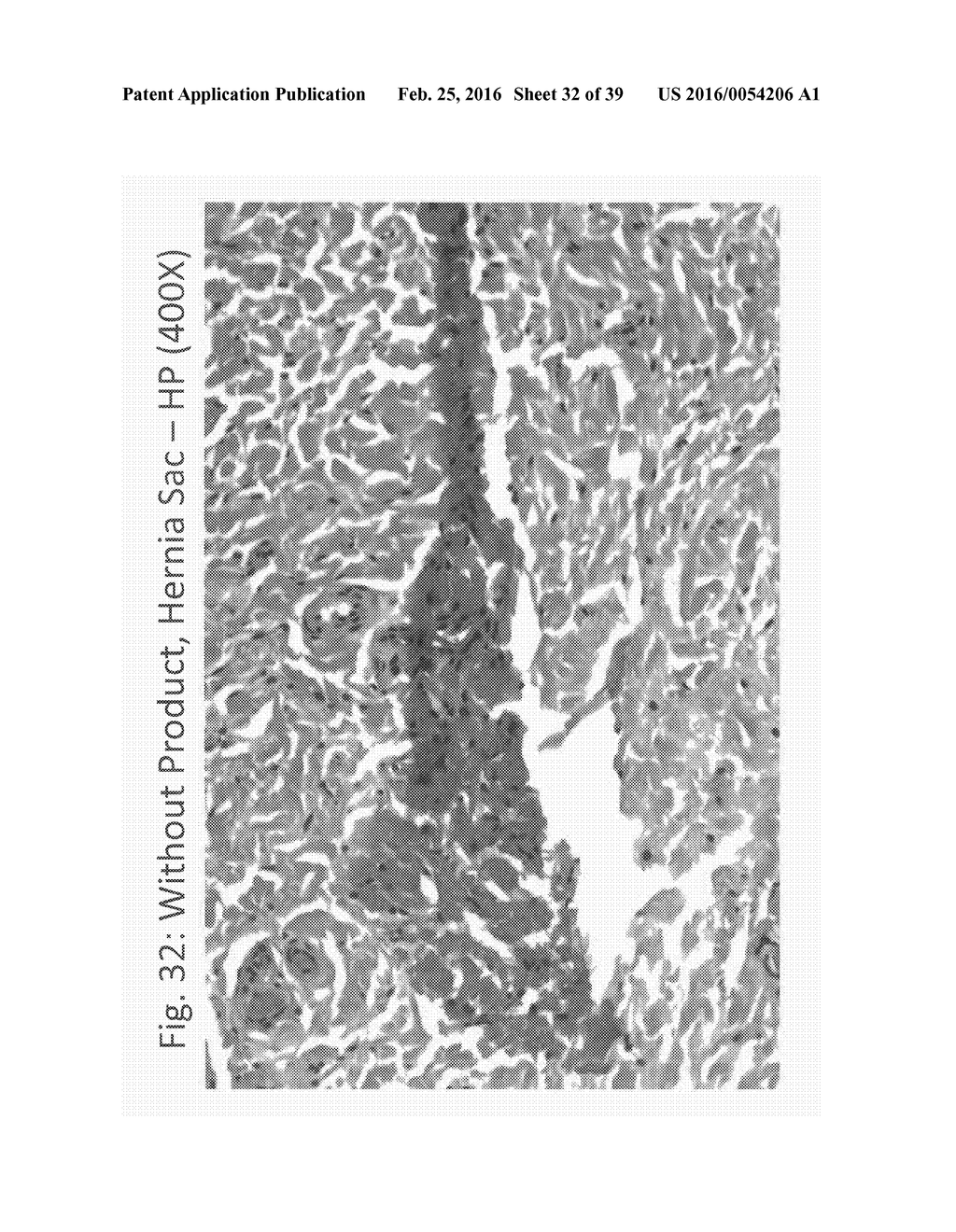 AQUEOUS COMPOSITIONS AND METHODS OF USING THE SAME FORHISTOPATHOLOGICAL     EVALUATION OF TISSUE SAMPLES - diagram, schematic, and image 33