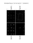 ARRAYS AND METHODS FOR GUIDED CELL PATTERNING diagram and image