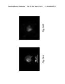 ARRAYS AND METHODS FOR GUIDED CELL PATTERNING diagram and image