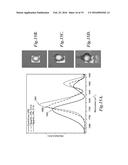 ARRAYS AND METHODS FOR GUIDED CELL PATTERNING diagram and image