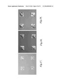 ARRAYS AND METHODS FOR GUIDED CELL PATTERNING diagram and image