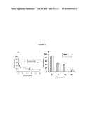 BIOSENSORS UTILIZING INK JET-PRINTED BIOMOLECULE COMPATIBLE SOL GEL INKS     AND USES THEREOF diagram and image