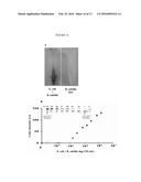 BIOSENSORS UTILIZING INK JET-PRINTED BIOMOLECULE COMPATIBLE SOL GEL INKS     AND USES THEREOF diagram and image