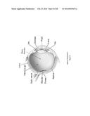 ENHANCED OPTICAL AND PERCEPTUAL DIGITAL EYEWEAR diagram and image