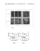 BACK CONTACT SUBSTRATE FOR A PHOTOVOLTAIC CELL OR MODULE diagram and image