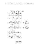 DISPLACEMENT CURRENT COMPENSATION CIRCUIT diagram and image