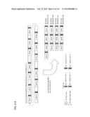 MULTI-LANE TRANSMISSION DEVICE AND MULTI-LANE TRANSMISSION METHOD diagram and image