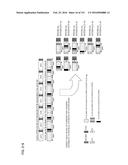 MULTI-LANE TRANSMISSION DEVICE AND MULTI-LANE TRANSMISSION METHOD diagram and image