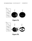 Image Capture Technique diagram and image