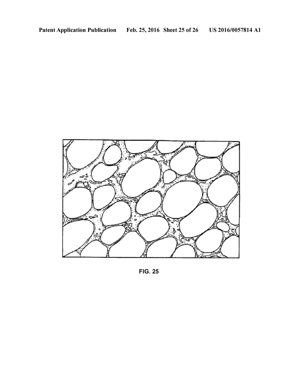 AC INDUCTION FIELD HEATING OF GRAPHITE FOAM - diagram, schematic, and image 26