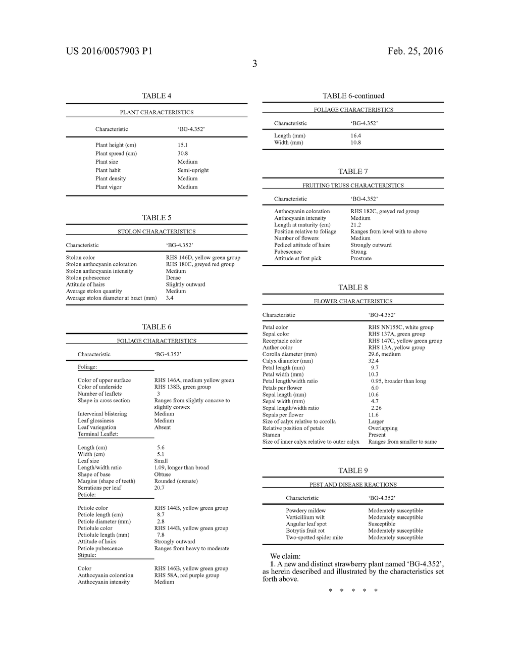 Strawberry plant named 'BG-4.352' - diagram, schematic, and image 03