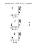 Human Lambda Light Chain Mice diagram and image