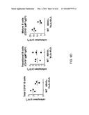 Human Lambda Light Chain Mice diagram and image