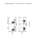 Human Lambda Light Chain Mice diagram and image