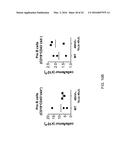 Human Lambda Light Chain Mice diagram and image