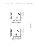 Human Lambda Light Chain Mice diagram and image