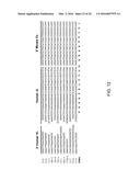 Human Lambda Light Chain Mice diagram and image