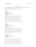 Human Lambda Light Chain Mice diagram and image