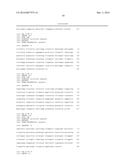 Human Lambda Light Chain Mice diagram and image