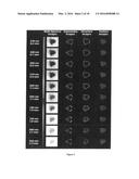 THREE DIMENSIONAL TISSUE IMAGING SYSTEM AND METHOD diagram and image