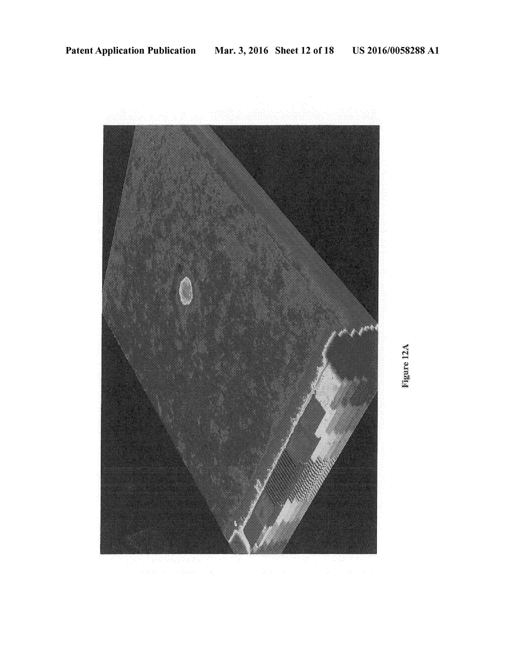 THREE DIMENSIONAL TISSUE IMAGING SYSTEM AND METHOD - diagram, schematic, and image 13