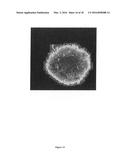 THREE DIMENSIONAL TISSUE IMAGING SYSTEM AND METHOD diagram and image