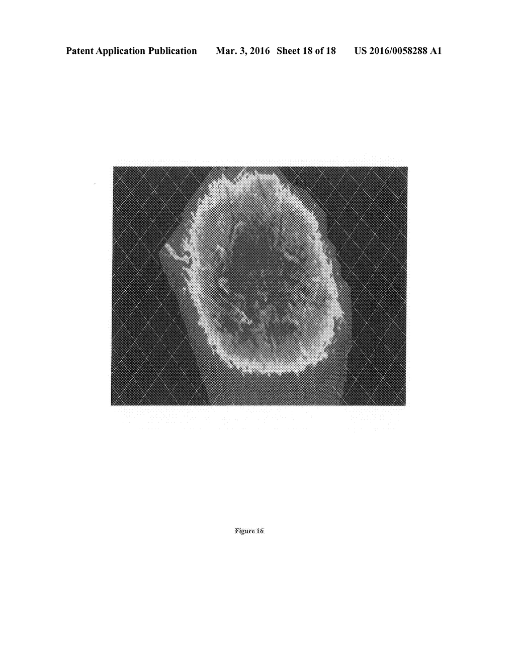 THREE DIMENSIONAL TISSUE IMAGING SYSTEM AND METHOD - diagram, schematic, and image 19