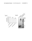 Methods of Testing for Allergen Sensitivity diagram and image