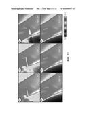 Methods of Testing for Allergen Sensitivity diagram and image