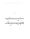 Gastrointestinal Device with Associated Commensal Microbes diagram and image