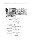 COATING METHOD diagram and image