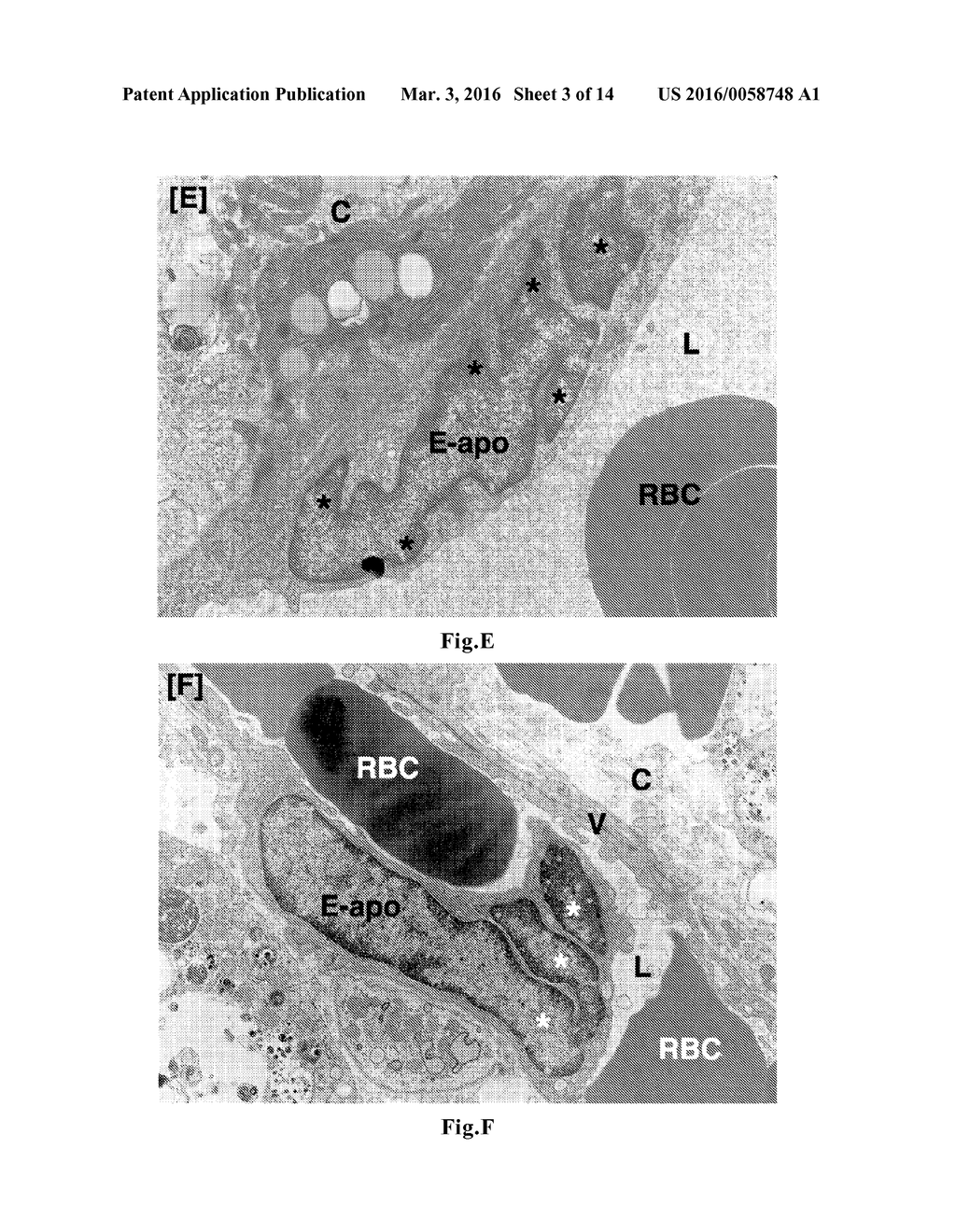 ANTITUMOR AGENT - diagram, schematic, and image 04