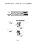 METHODS FOR TREATING HAIR LOSS DISORDERS diagram and image