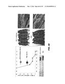 METHODS FOR TREATING HAIR LOSS DISORDERS diagram and image