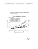 USE OF SUBSTITUTED 2,3-DIHYDROIMIDAZO[1,2-C]QUINAZOLINES FOR TREATING     LYMPHOMAS diagram and image