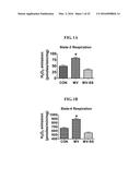 MITOCHONDRIAL-TARGETED ANTIOXIDANTS PROTECT AGAINST MECHANICAL     VENTILATION-INDUCED DIAPHRAGM DYSFUNCTION AND SKELETAL MUSCLE ATROPHY diagram and image