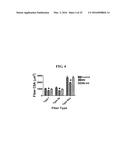 MITOCHONDRIAL-TARGETED ANTIOXIDANTS PROTECT AGAINST MECHANICAL     VENTILATION-INDUCED DIAPHRAGM DYSFUNCTION AND SKELETAL MUSCLE ATROPHY diagram and image