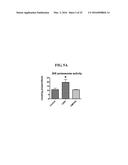 MITOCHONDRIAL-TARGETED ANTIOXIDANTS PROTECT AGAINST MECHANICAL     VENTILATION-INDUCED DIAPHRAGM DYSFUNCTION AND SKELETAL MUSCLE ATROPHY diagram and image