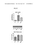 MITOCHONDRIAL-TARGETED ANTIOXIDANTS PROTECT AGAINST MECHANICAL     VENTILATION-INDUCED DIAPHRAGM DYSFUNCTION AND SKELETAL MUSCLE ATROPHY diagram and image