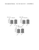 MITOCHONDRIAL-TARGETED ANTIOXIDANTS PROTECT AGAINST MECHANICAL     VENTILATION-INDUCED DIAPHRAGM DYSFUNCTION AND SKELETAL MUSCLE ATROPHY diagram and image