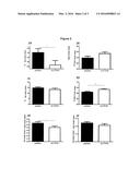 Composition Including the HIP/PAP Protein or One of the Derivatives     Thereof for Treating Insulin Resistance diagram and image