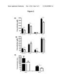 Composition Including the HIP/PAP Protein or One of the Derivatives     Thereof for Treating Insulin Resistance diagram and image