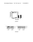 LEPTIN FOR TREATING SYSTEMIC INFLAMMATORY RESPONSE SYNDROME diagram and image