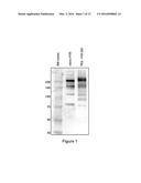 FACTOR VIII POLYMER CONJUGATES diagram and image