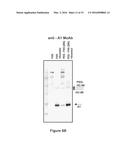 FACTOR VIII POLYMER CONJUGATES diagram and image