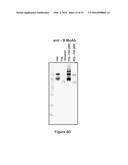 FACTOR VIII POLYMER CONJUGATES diagram and image