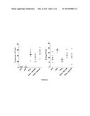 IMMUNOTHERAPY OF CANCER THROUGH COMBINATION OF LOCAL AND SYSTEMIC IMMUNE     STIMULATION diagram and image