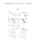 ANTI-TUMOR DNA VACCINE diagram and image