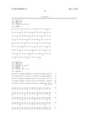 ANTI-TUMOR DNA VACCINE diagram and image