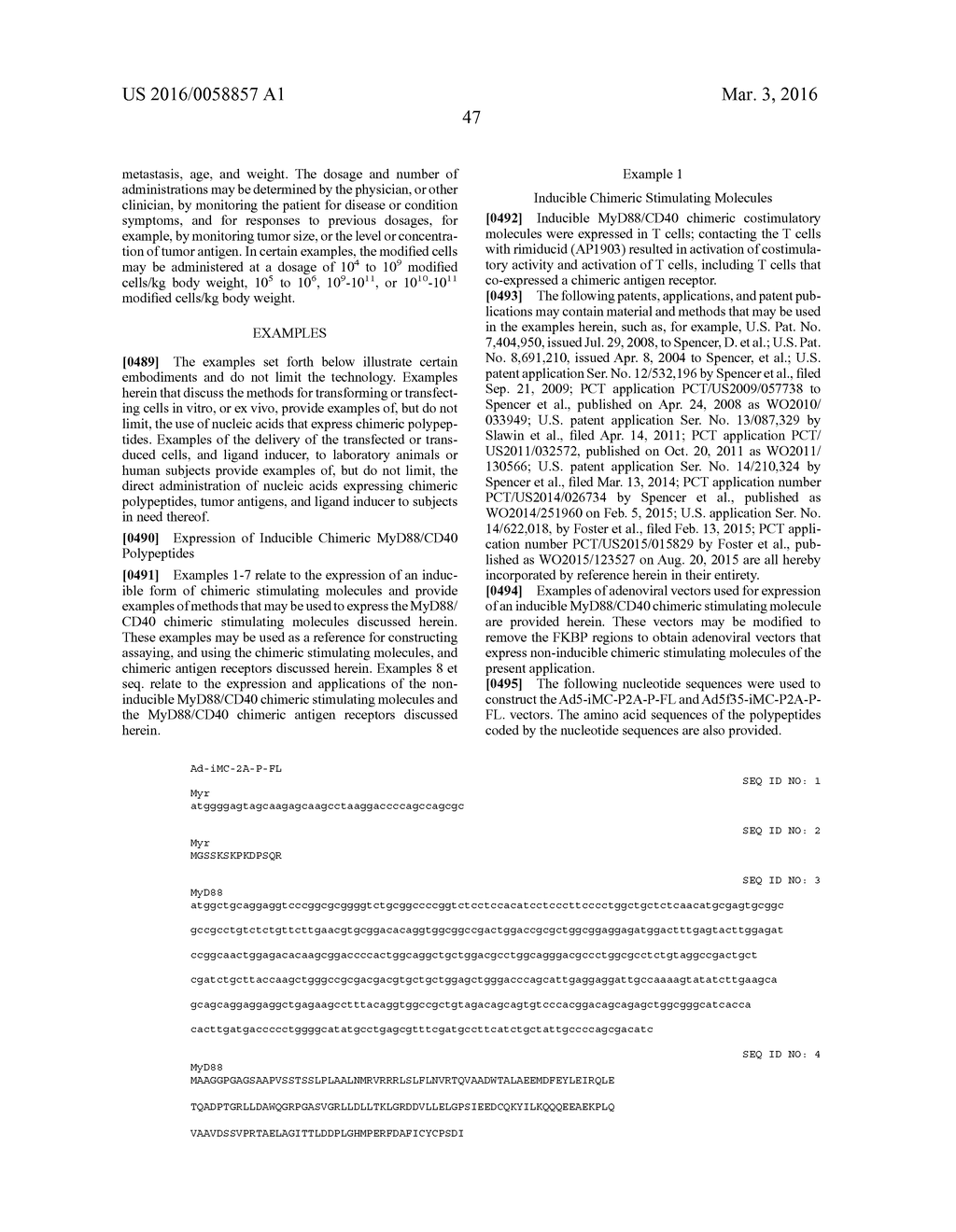 COSTIMULATION OF CHIMERIC ANTIGEN RECEPTORS BY MYD88 AND CD40 POLYPEPTIDES - diagram, schematic, and image 100